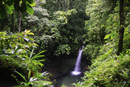 Cayo Levantado (Samana), Dominican Republic