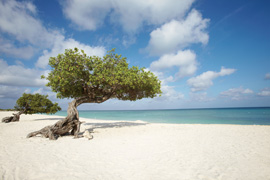 Oranjestad, Aruba