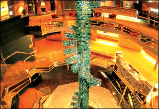 Atrium on Maasdam